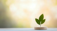 Young green leaves growing from cork on wooden surface against soft bokeh background, representing growth, sustainability and eco-friendly concepts.