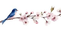 Delicate watercolor composition featuring blue bird perched on cherry blossom branch with pink flowers in full bloom, isolated on white background for design projects.