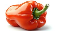 Fresh ripe red bell pepper with green stem isolated on white background. Natural organic vegetable with glossy surface and vibrant color for cooking and food design.