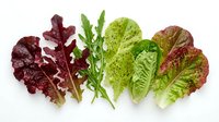 Fresh mixed salad greens including red leaf lettuce, arugula, and romaine arranged on white background. Organic leafy vegetables for healthy eating and cooking.