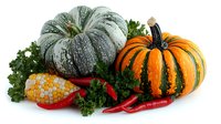 Fresh harvest composition with blue pumpkin, orange striped gourd, ornamental corn, red chili peppers and curly parsley leaves on white background.