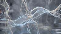 Abstract neural network connections with flowing organic forms and translucent pathways creating futuristic medical visualization for scientific presentations.