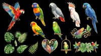 Colorful tropical parrots clipart set isolated on transparent background, featuring macaws, cockatoo, and lovebirds with exotic leaves, ready for t-shirt design and print on demand.