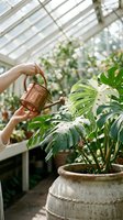Woman watering tropical houseplant with copper watering can in bright greenhouse. Indoor gardening and plant care concept for home decoration and wellness.