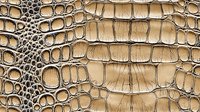 Crocodile skin texture in beige and brown tones showing detailed scales, pores and natural leather pattern. Seamless macro photography for luxury fashion design.