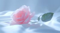 Delicate pink rose lying on soft white silk fabric with gentle shadows and dreamy atmosphere, creating romantic and ethereal mood for wedding or valentines designs.