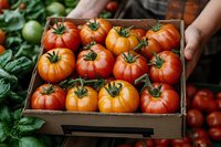 Fresh ripe heirloom tomatoes in wooden box, vibrant orange-red color with green stems, organic produce at farmers market for healthy cooking.