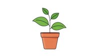 Young green plant growing in terracotta pot isolated on white background for gardening and nature designs.