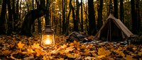Cozy autumn camping scene with glowing lantern and tent among fallen leaves in forest. Warm outdoor adventure atmosphere for seasonal recreation content.