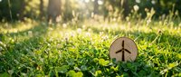 Wooden eco-friendly symbol with wind turbine icon resting on green grass in sunlit natural environment promoting renewable energy and sustainability.