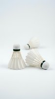 White feather badminton shuttlecocks with black bands isolated on neutral background, ready for sports design, print, and athletic promotional materials.