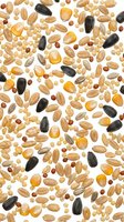 Mixed nuts and seeds scattered on white background isolated for healthy snacking designs and nutritional content creation.