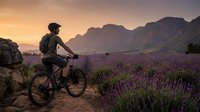 Mountain biker pauses among purple lavender fields at golden hour sunset with dramatic peaks in background for outdoor adventure and cycling content.