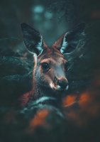 Young kangaroo portrait in moody dark forest setting with teal and orange tones, close-up view showing detailed facial features and alert ears against blurred background.