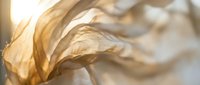 Dried corn husks with golden-brown texture and natural wrinkles, suitable for autumn crafts, Thanksgiving decorations, agricultural backgrounds, and seasonal design projects.