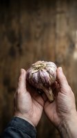 Caucasian male hands holding fresh garlic bulb with papery skin against rustic wooden background, suitable for cooking, food, agriculture, and culinary content.