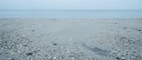 Shallow seawater over pebble beach with rippled sand texture and small stones scattered across seafloor, suitable for coastal and marine backgrounds.