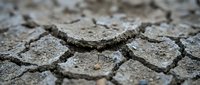 Cracked and parched earth surface showing severe drought conditions, with deep fissures in dry soil suitable for environmental and climate change concepts.