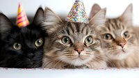 Three adorable cats celebrating a birthday party with colorful party hats, perfect for pet celebration themes or animal holiday concepts.