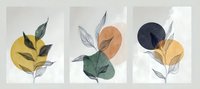 Minimalist botanical art with leaves and geometric circles in muted yellow, orange, green, and navy colors on textured paper background. Modern wall decor composition.
