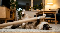 Playful raccoon lying on carpet floor with wooden toy stick in cozy home interior with furniture and plants, suitable for wildlife and pet lifestyle content.