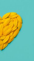 Heart shape made of yellow sunflower petals on a turquoise background, copy space for valentines, love, and nature concepts.