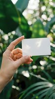 Woman's hand with gold ring holding blank white card against tropical green foliage background, mockup for branding or business design.