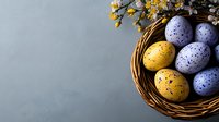 Speckled yellow and purple Easter eggs in wicker basket with spring flowers on gray background. Copy space for seasonal holiday designs and greeting cards.