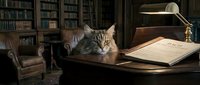 Tabby cat sitting at wooden desk in library study with books, lamp, and leather furniture in background.