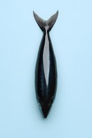 Black whale figure on light blue background, minimalist composition with dramatic lighting and clean lines, isolated object suitable for design projects.