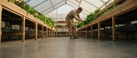 Male worker in tan uniform and hard hat installing or maintaining shelving units in large industrial warehouse with polished concrete floor and glass ceiling with hanging plants.