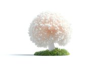 Delicate white mushroom with fluffy textured cap growing on moss patch against clean white background, isolated nature study for creative design projects.