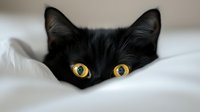 Black cat with bright yellow eyes peeking over white bedding, creating mysterious and playful mood for pet photography, social media, and animal blogs.