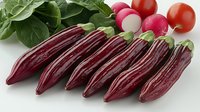 Fresh purple eggplants arranged in row with green leaves, red cherry tomatoes and pink radishes on white background, macro food photography.