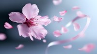 Delicate pink cherry blossom with floating petals against blurred background, soft focus macro photography capturing spring flower in gentle motion.
