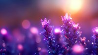 Lavender flowers with glowing bokeh lights in purple and pink tones, creating a dreamy, magical atmosphere suitable for wellness, nature, and relaxation design projects.