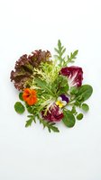 Fresh mixed salad greens with edible flowers isolated on white background, ready for culinary design, food packaging and restaurant menus.
