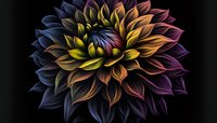 Vibrant dahlia flower with layered petals in golden yellow, orange, and deep purple tones against dark background, isolated for design projects.