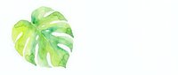 Watercolor monstera leaf in vibrant green tones isolated on white background for tropical design projects and botanical artwork.