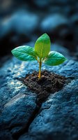 Young green seedling growing through crack in rock, symbolizing strength, resilience and new beginnings. Dramatic lighting highlights fresh leaves against dark background.
