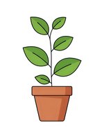 Green plant growing in terracotta pot with multiple leaves isolated on white background for gardening and nature designs.