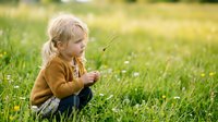 Young blonde girl with fair complexion, approximately 2-3 years old, crouching in meadow holding grass stem, wearing mustard cardigan. Outdoor nature scene with wildflowers and green field for childhood, parenting, and lifestyle content.