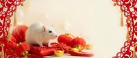 White rat surrounded by red lanterns and decorative elements for lunar new year celebration and festive occasions.
