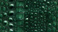 Emerald green crocodile skin texture with glossy scales and intricate patterns creates luxurious leather background for fashion and luxury design projects.