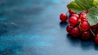 Fresh red currants with green leaves on dark turquoise background with water drops and copy space. Macro food photography for healthy eating concept.