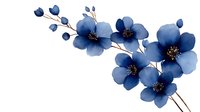 Elegant navy blue watercolor flowers with delicate black centers on white background, arranged in graceful branch composition. Isolated floral art for design projects.