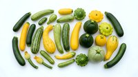 Fresh green and yellow summer squash varieties including zucchini, pattypan, and crookneck squash arranged on white background for healthy cooking recipes.