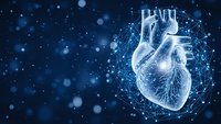 Digital wireframe human heart with glowing network connections on dark blue background with bokeh lights for medical technology concepts.