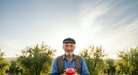 Senior male farmer with gray beard and cap holding fresh red apple in orchard during harvest season, suitable for agriculture, farming, and food production marketing materials.