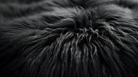 Black and white macro photograph of soft animal fur texture showing detailed strands and fibers in dramatic lighting, creating abstract natural pattern.